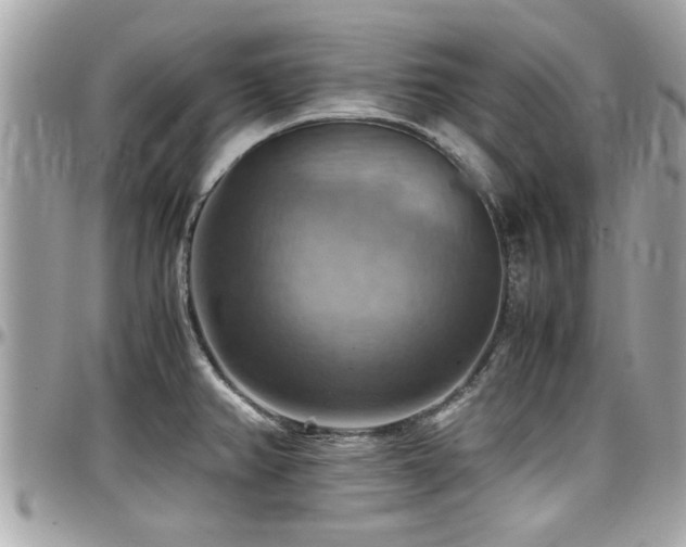 X0000098001382200803241332