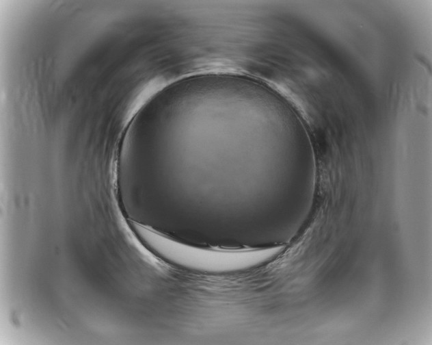 X0000098001383200803241332