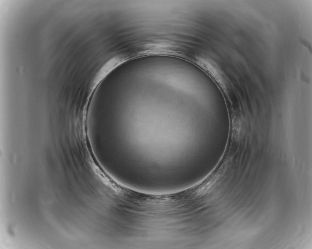 X0000098001386200803241332