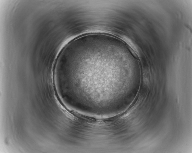 X0000098001388200803241332