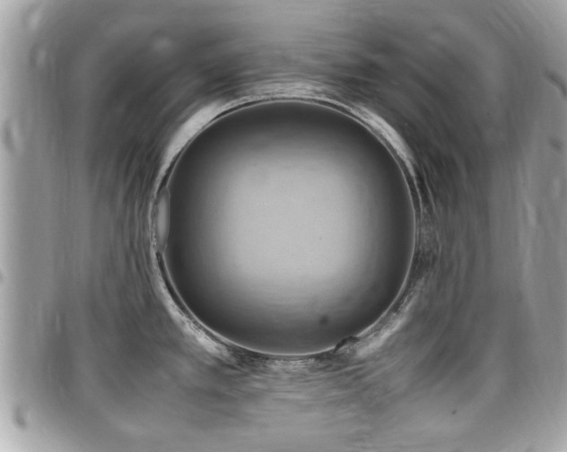 X0000098001389200803241332
