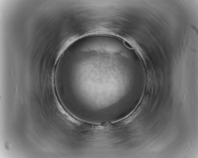 X0000098001390200803241332