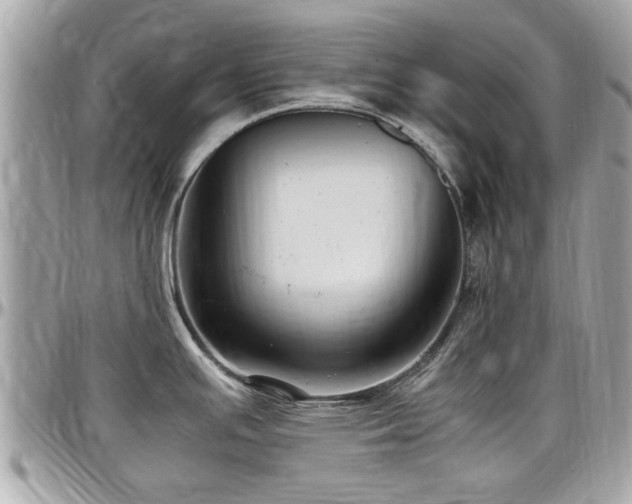 X0000098001391200803241332