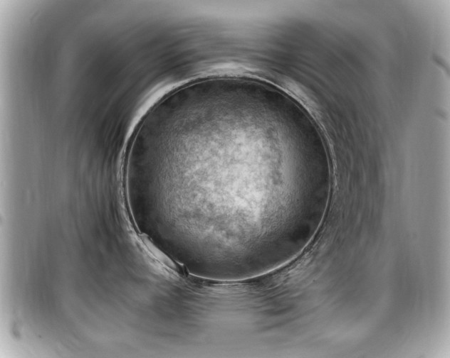 X0000098001392200803241332