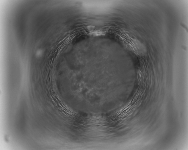 X0000098001393200803241331