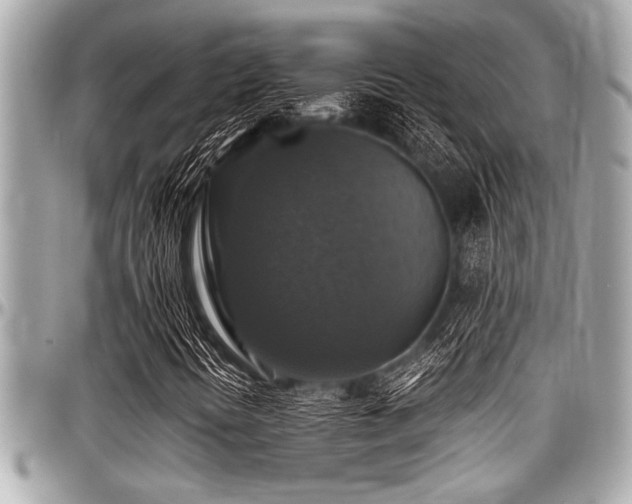 X0000098001394200803241331