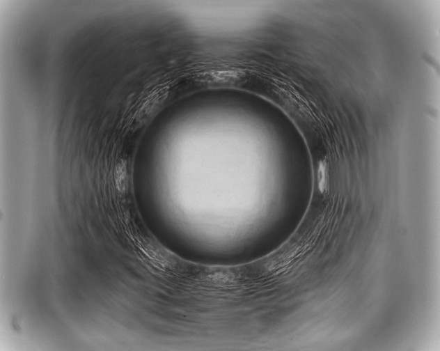 X0000098001395200803241331