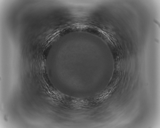 X0000098001397200803241331