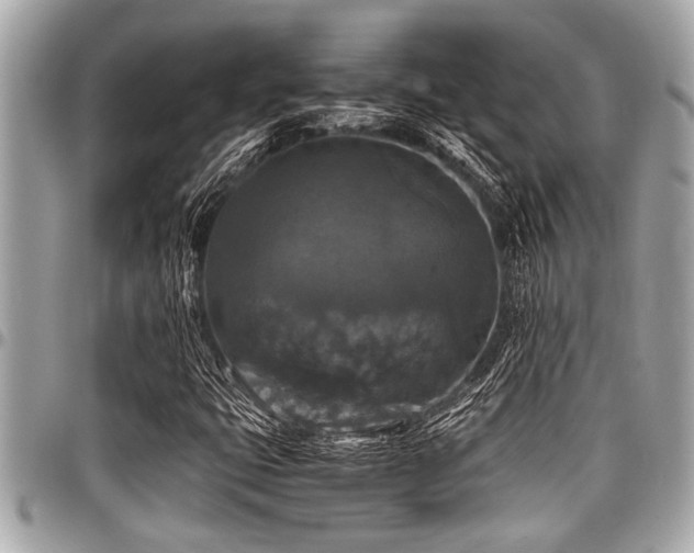 X0000098001399200803241331