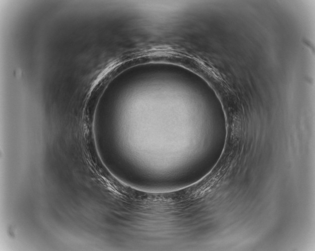 X0000098001400200803241331