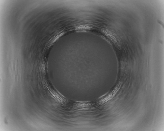 X0000098001401200803241331