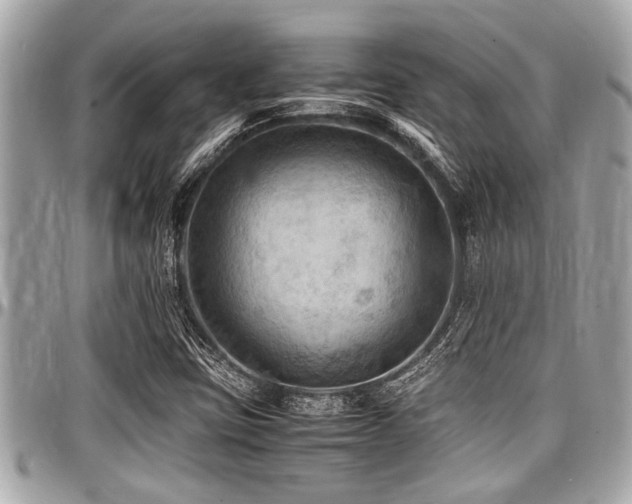 X0000098001403200803241331