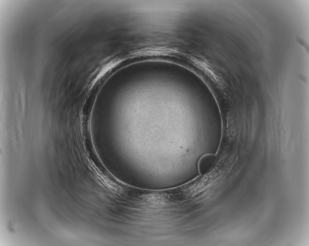 X0000098001404200803241331