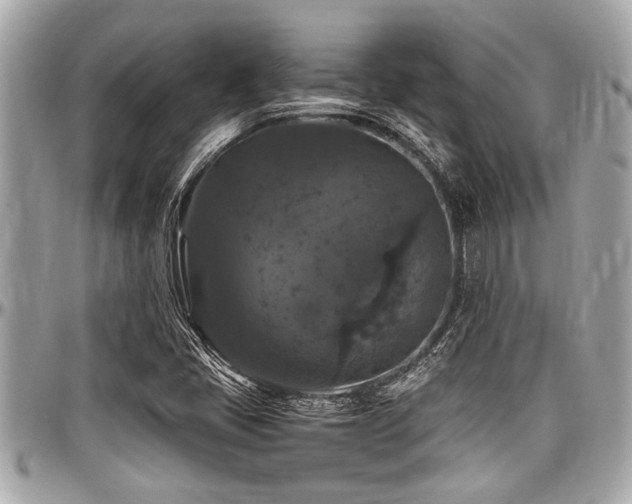X0000098001405200803241331