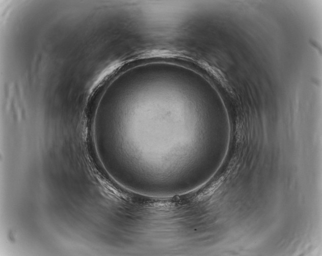 X0000098001406200803241331