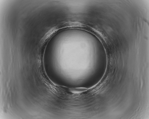 X0000098001407200803241331