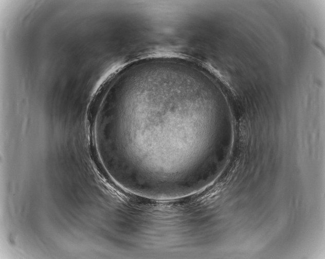 X0000098001408200803241331