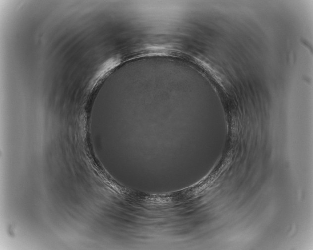 X0000098001411200803241331