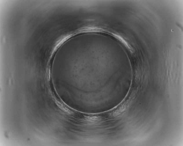 X0000098001413200803241331