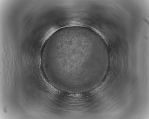 X0000098001415200803241331
