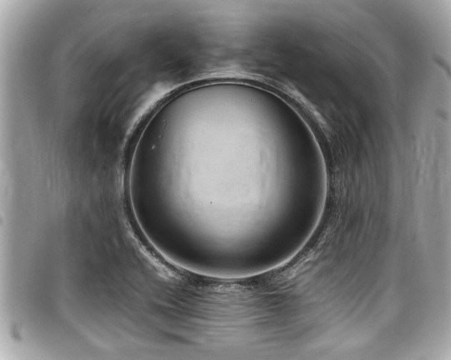 X0000098001416200803241331