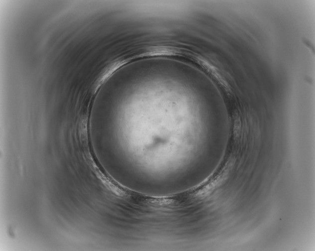 X0000098001417200803241331