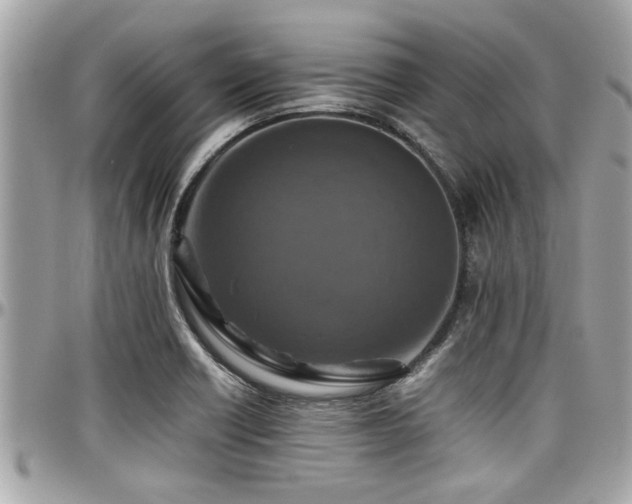 X0000098001418200803241331