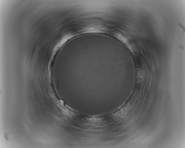 X0000098001419200803241331