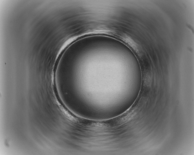 X0000098001420200803241331