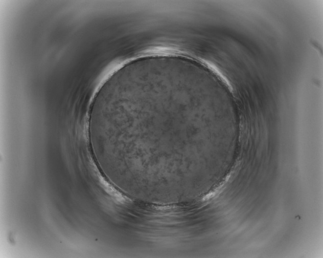 X0000098001421200803241331