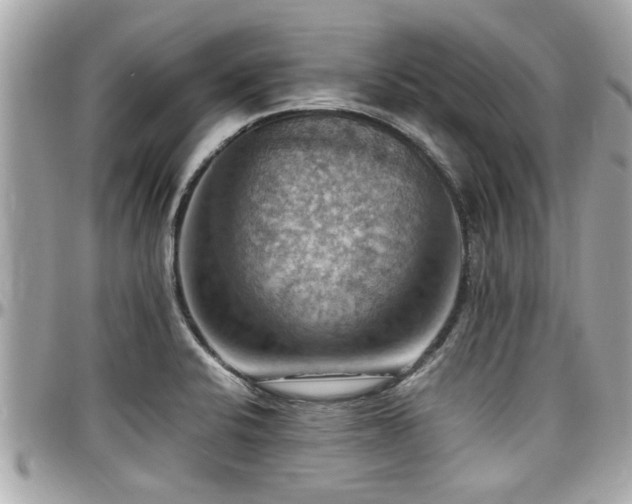 X0000098001424200803241331