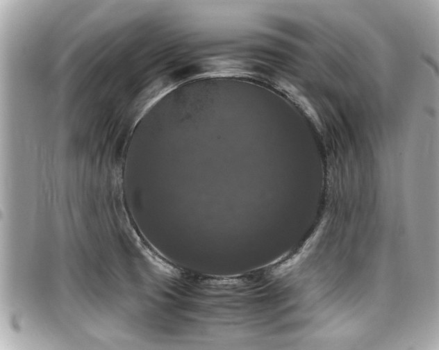 X0000098001425200803241331