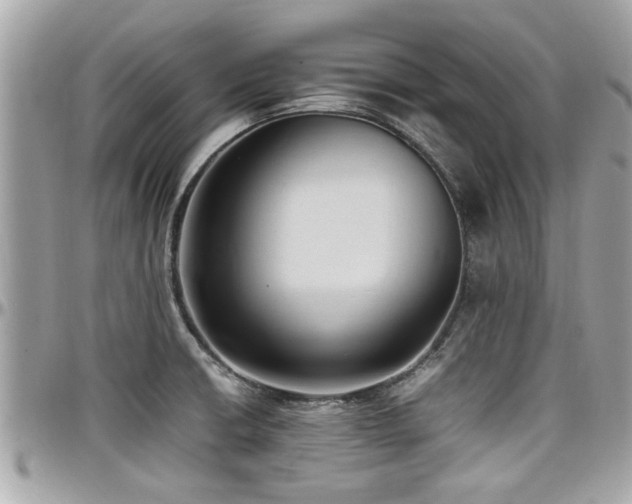 X0000098001426200803241331