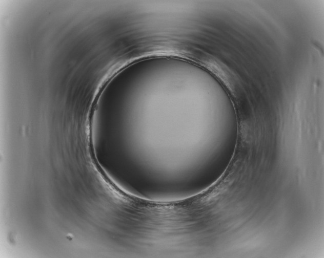 X0000098001428200803241331