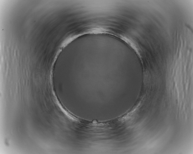 X0000098001429200803241332
