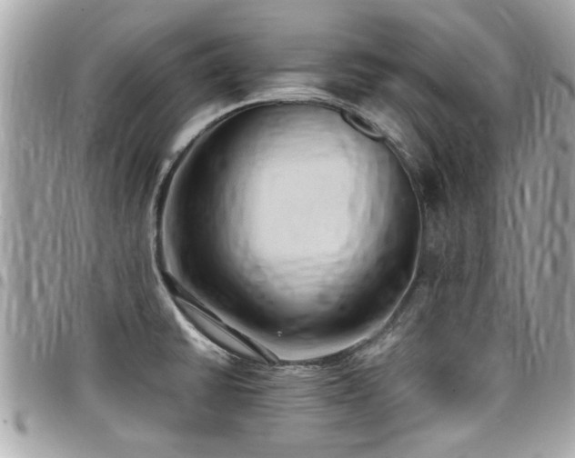 X0000098001430200803241332