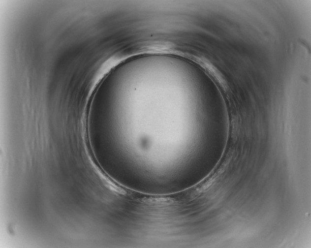 X0000098001432200803241332