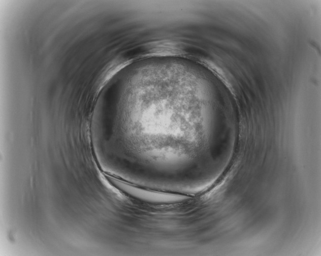 X0000098001433200803241332