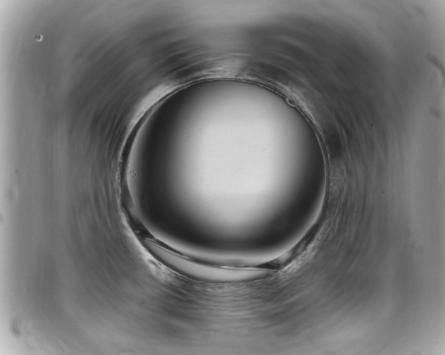 X0000098001434200803241332