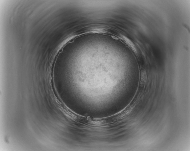 X0000098001435200803241332