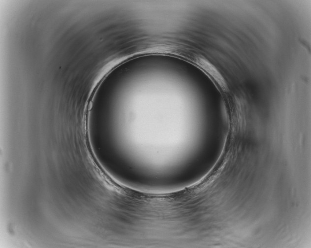 X0000098001436200803241332