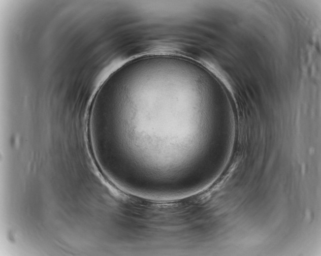 X0000098001437200803241332