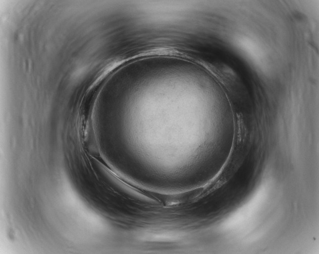 X0000098001438200803241332