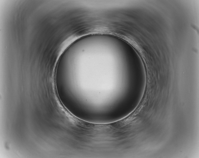 X0000098001440200803241332
