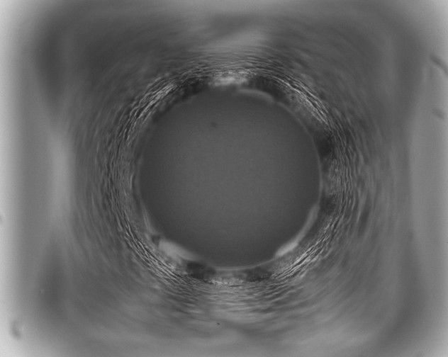 X0000098001441200803241331