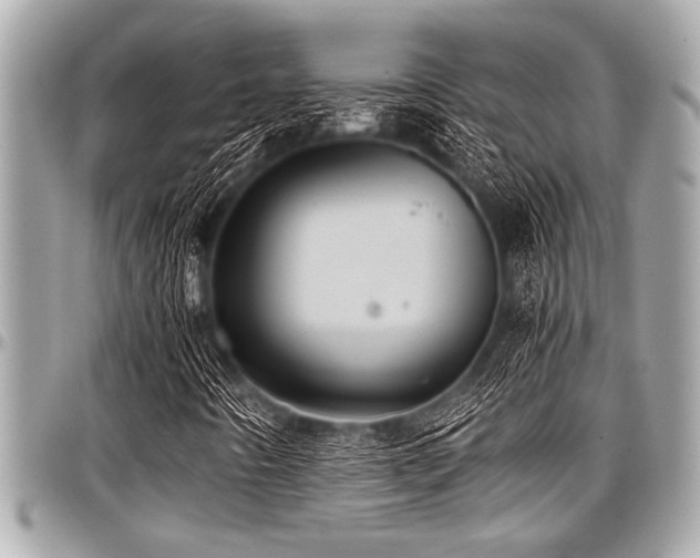 X0000098001442200803241331