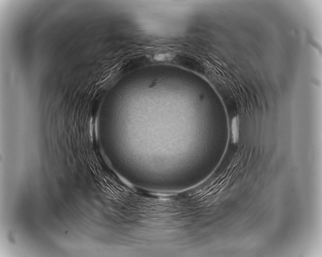 X0000098001443200803241331
