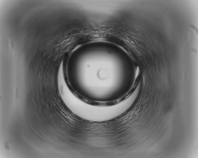 X0000098001444200803241331