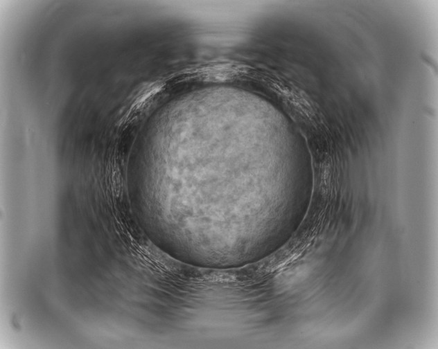 X0000098001446200803241331
