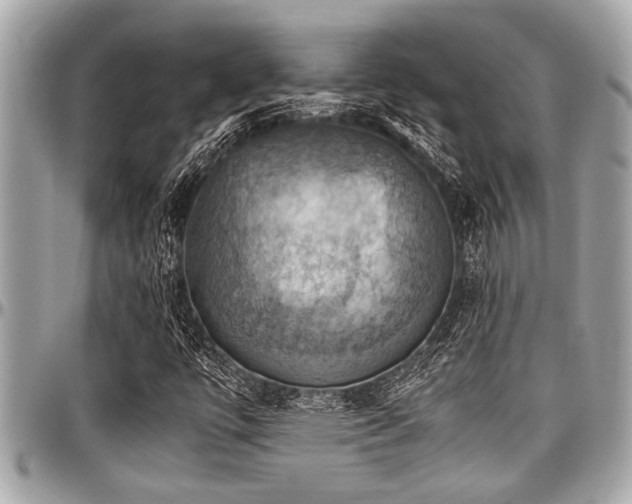 X0000098001447200803241331